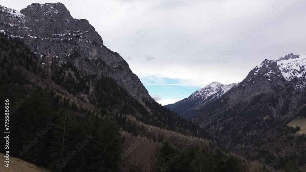 Drone rise up hill and fly towards pine forest surrounded by snow covered summits Drone rise up hill and fly towards pine forest surrounded by snow covered summits