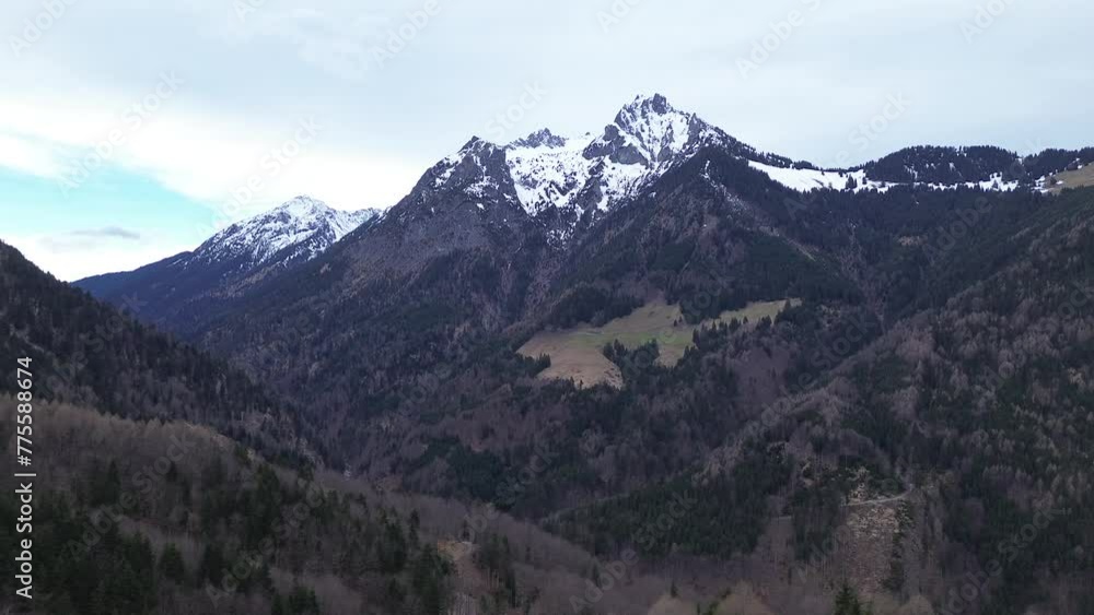 Aerial view of drone flying sideways along pine forest with snow capped mountains in background on a cloudy day in Vorarlberg, Austria Aerial view of drone flying sideways along pine forest with snow capped mountains in background on a cloudy day in Vorarlberg, Austria