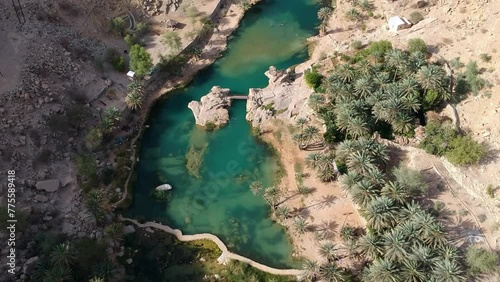 Aerial of Wadi Bani Khalid oasis with turquoise water and palm trees in the Sultanate of Oman. photo
