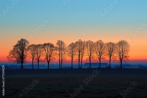 A field of trees with a beautiful sunset in the background