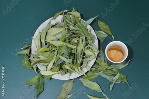 Lemon Myrtle Leaves and Tea photo