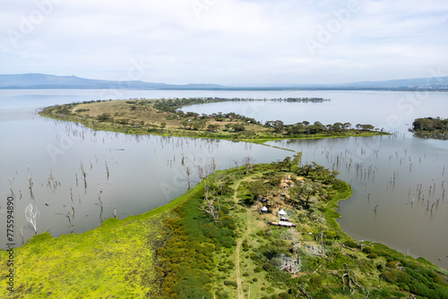 Beautiful scenery of Lake Naivasha with flooded trees against the background of the blue cloudy sky. Kenya, Africa. top view