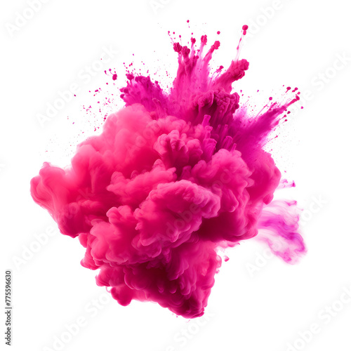 Bright pink magenta paint color powder for festivities, on white and transparent background