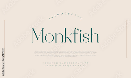 Monkfish Elegant alphabet letters font and number. Classic Lettering Minimal Fashion Designs. Typography modern serif fonts regular uppercase lowercase and numbers. vector illustration