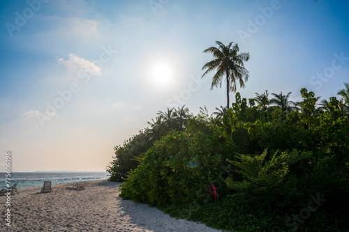 Beautiful sandy beach near a dense tropical forest.