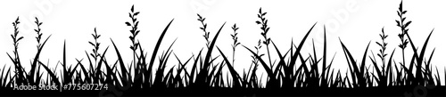 Black silhouette of grass border, seamless vector illustration