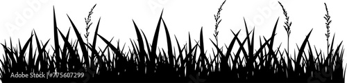 Black silhouette of grass border, seamless vector illustration photo