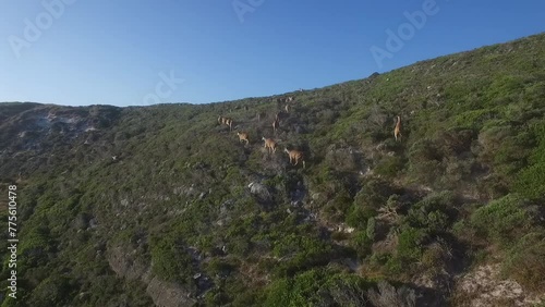 Cape Point Nature Reserve, South Africa