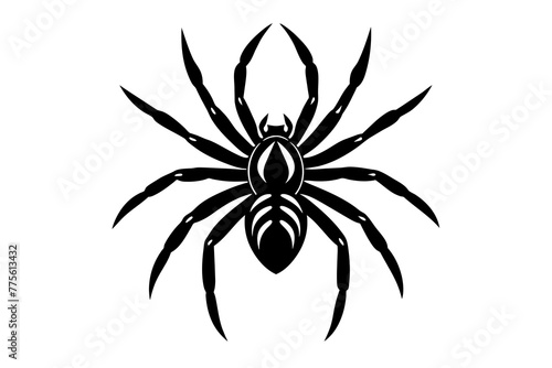spider silhouette vector illustration