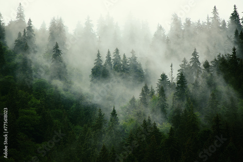 Misty mountain landscape © Jose