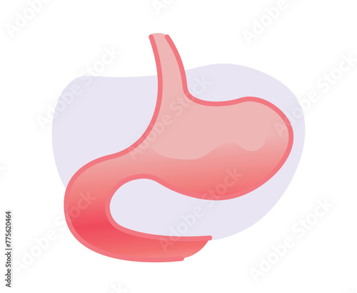 Illustration of the stomach sensory organ. Human stomach anatomy in flat style. 