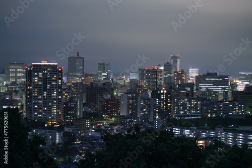 仙台城址から眺める仙台市街地の夜景 Night view of Sendai city seen from Sendai Castle ruins