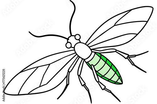 green lacewing silhouette vector illustration