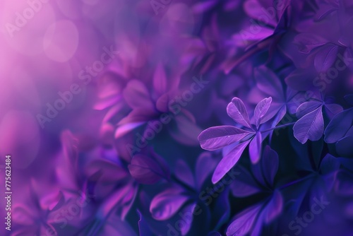 Close Up of a Bunch of Purple Flowers