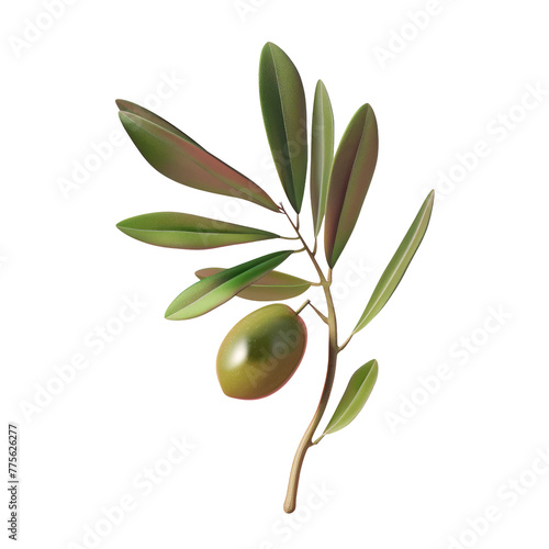A green olive on a branch with leaves