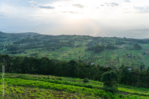 Fotografija Scene of extensive plantation on tea estate near Karoit, West Kenya highlands, overlooking the Great Rift Valley