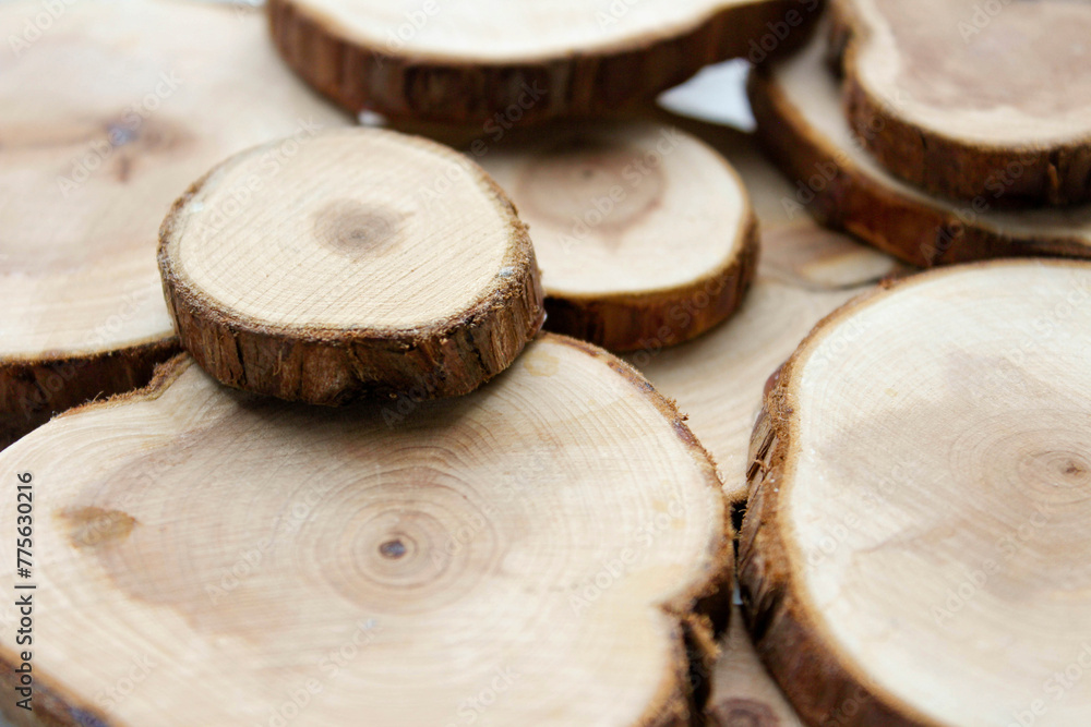 Tree Cut Samples are isolated on a white background. Cross section of tree trunk showing growth rings on white background. Round wooden planks stacked on top of each other Tree Cut Samples are isolated on a white background. Cross section of tree trunk showing growth rings on white background. Round wooden planks stacked on top of each other