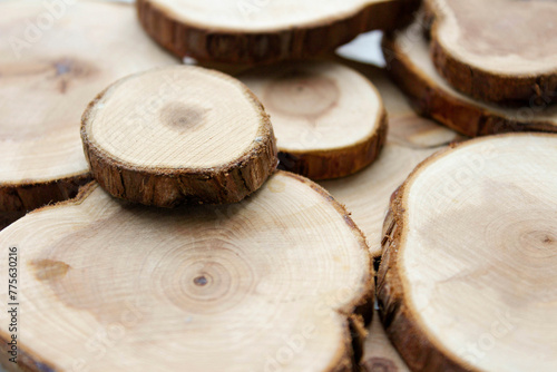Tree Cut Samples are isolated on a white background. Cross section of tree trunk showing growth rings on white background. Round wooden planks stacked on top of each other