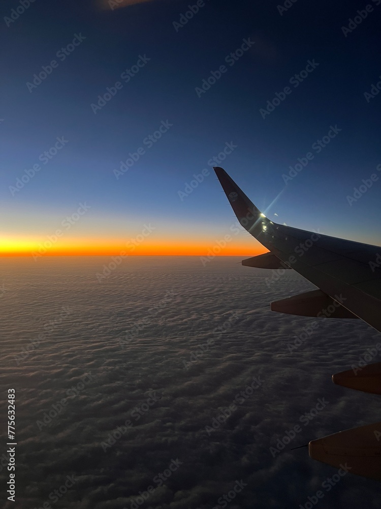 Fototapeta premium airplane in the sky at sunset
