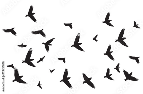 Birds set black silhouette isolated vector
