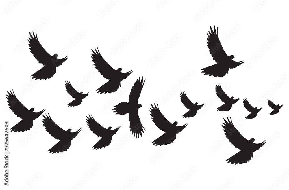 Obraz premium Flying birds black silhouettes set vector