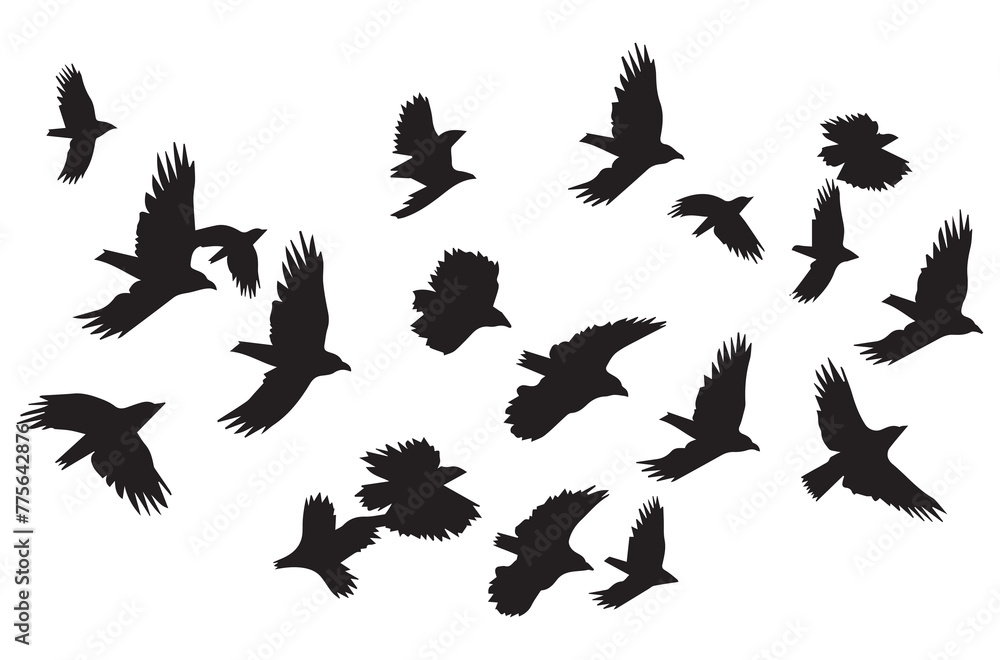 Fototapeta premium Flying birds black silhouettes set vector