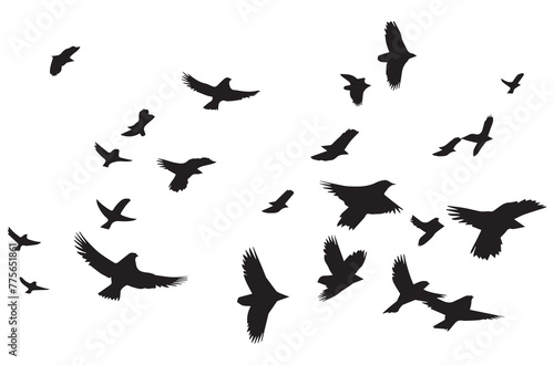 flying birds silhouette set flying birds icon set Set of flying birds silhouettes © shopone