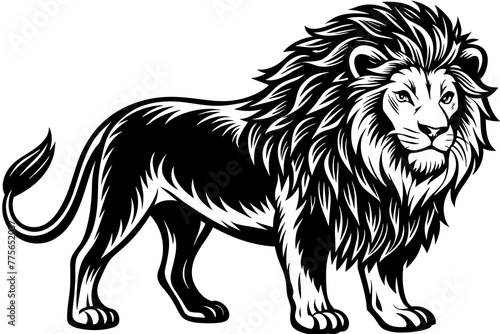 lion black and white