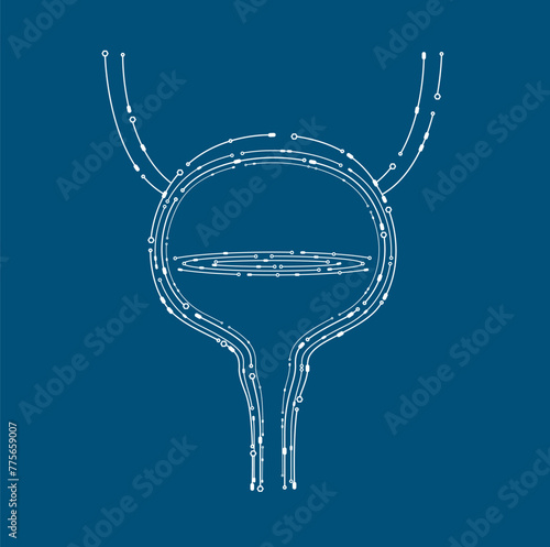 Human bladder organ electronic circuit board outline model. Isolated on blue background. Science medical technology concept. Vector EPS10 illustration.