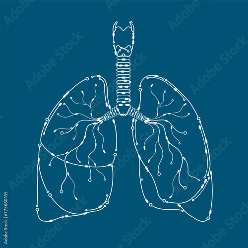 Lung electronic circuit board outline model. Isolated on blue background. Science medical technology concept. Vector EPS10 illustration.