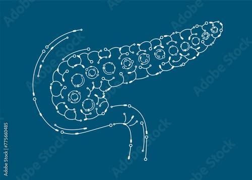 Human pancreas organ electronic circuit board outline model. Isolated on blue background. Science medical technology concept. Vector EPS10 illustration.