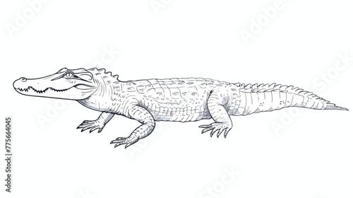 Crocodile one continuous line drawing Vector 
