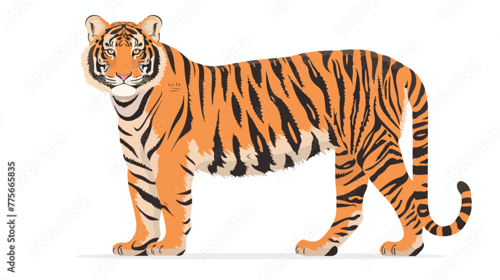 Isolated illustration of a tiger simple vector drawing