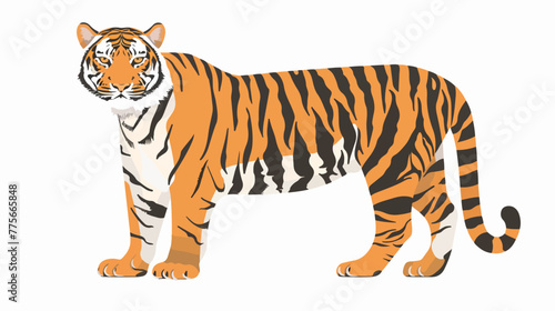 Isolated illustration of a tiger simple vector drawing