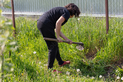 A woman digs soil with a shovel in the garden in the spring © schankz