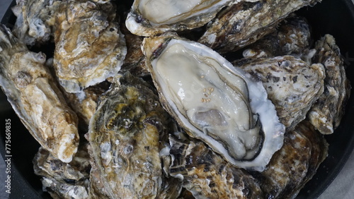 fresh oysters on a plate