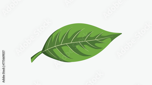 Leaf logo flat vector isolated on white background --