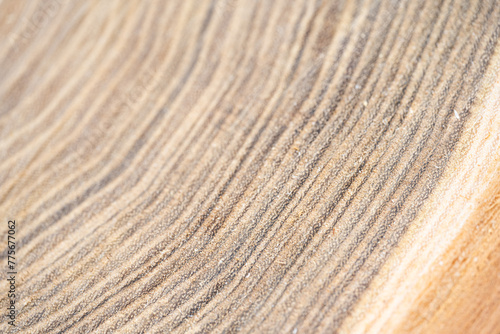 wood texture on a cut