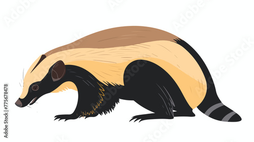 Nambat australian marsupial anteater. Vector isolated