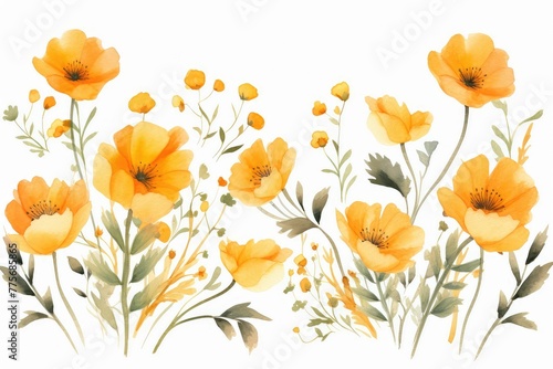 Fototapeta Naklejka Na Ścianę i Meble -  watercolor of marigold clipart with orange and yellow blooms. flowers frame, botanical border, Watercolor floral wreath. Hand painted frame of greenery, wildflowers, herbs. Green leaves, field flowers