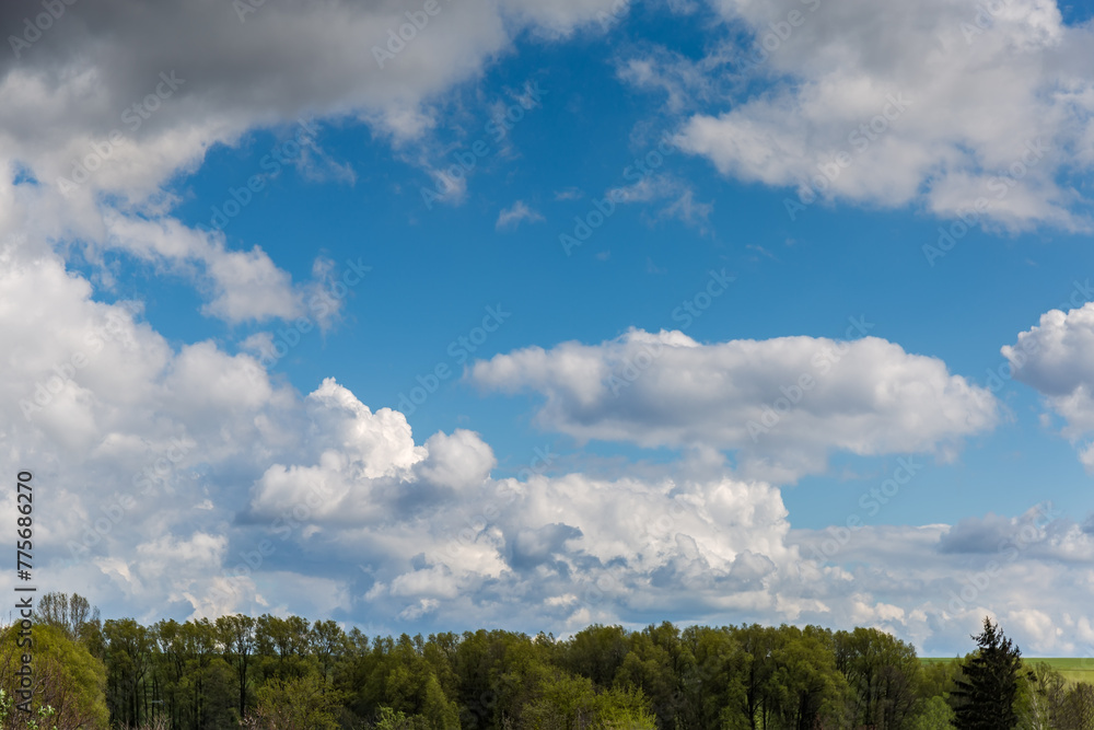 Sky with cumulus clouds above the trees in early spring Sky with cumulus clouds above the trees in early spring