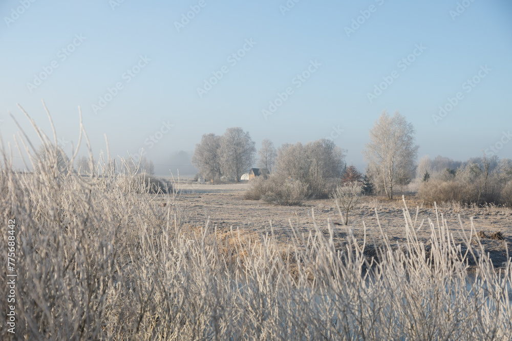 A beautiful early spring landscape of woodlands in Latvia. A natural springtime scenery of Northern Europe. A beautiful early spring landscape of woodlands in Latvia. A natural springtime scenery of Northern Europe.