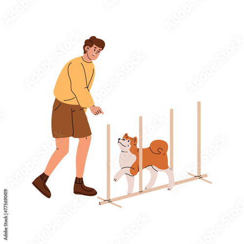 Fluffy dog training, does agility exercises. Owner plays with Shiba. Trainer teaches puppy to pass weave poles, slalom. Akita inu clears obstacle course. Flat isolated vector illustration on white
