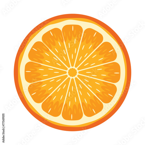 Orange Fruits Illustration