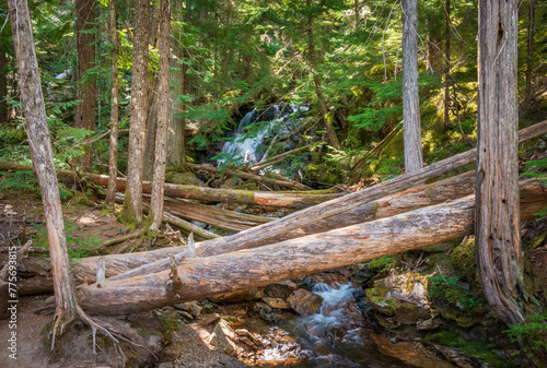 Fotografía A Waterfall at North Cascades National Park in Washington State