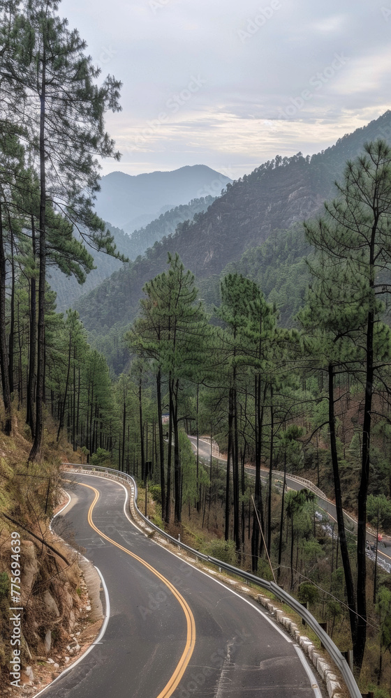 A winding road with trees on both sides. The road is surrounded by mountains and the sky is cloudy
