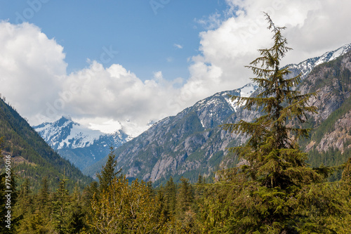 View of the Snow Covered Mountain Peaks and Forest at North Cascades National Park in Washington State