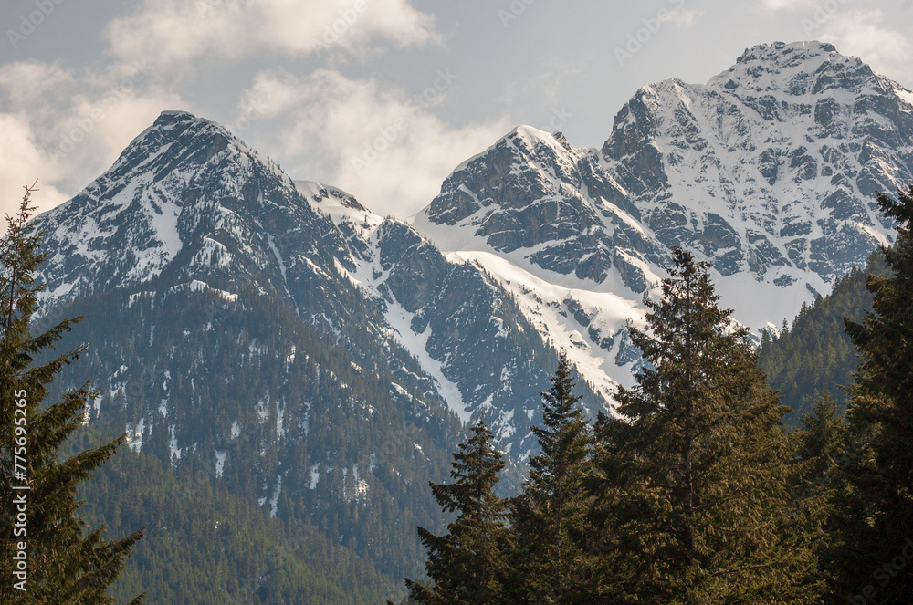 View of the Snow Covered Mountain Peaks and Forest at North Cascades National Park in Washington State View of the Snow Covered Mountain Peaks and Forest at North Cascades National Park in Washington State