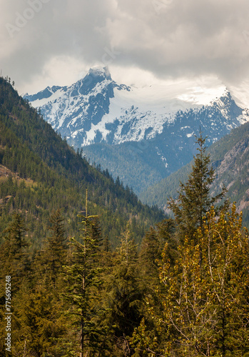 View of the Snow Covered Mountain Peaks and Forest at North Cascades National Park in Washington State © Zack Frank