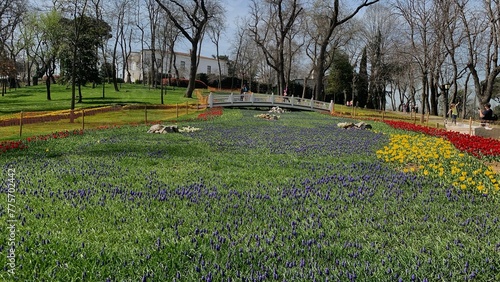 Beautiful spring garden, famous turkish park Emirgan Korusu in Istanbul during tulip festival, Turkey. Outdoor travel background, nature landscape photo